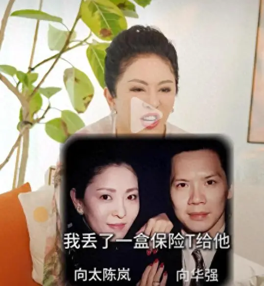 向太揭露娱乐圈黑幕！出轨只是冰山一角